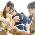 専門学校　福岡ビジョナリーアーツ 【ペット】様々なワンコでよくばりトリマー体験