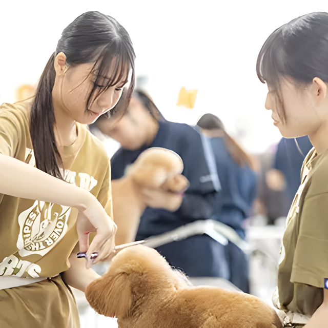 専門学校　福岡ビジョナリーアーツ 【ペット】様々なワンコでよくばりトリマー体験1