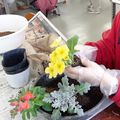 日本ガーデンデザイン専門学校 春の花で寄せ植えづくり