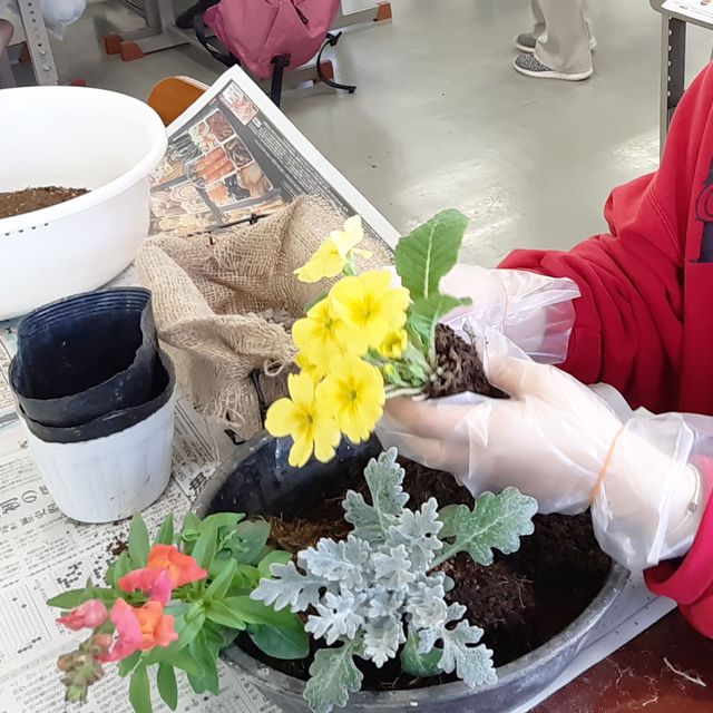 日本ガーデンデザイン専門学校 春の花で寄せ植えづくり1