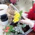 日本ガーデンデザイン専門学校 春の花で寄せ植えづくり1