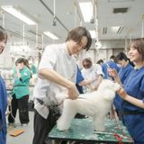 愛犬総合学科　充実の実習で犬の扱い方を学べる学校の体験入学の詳細