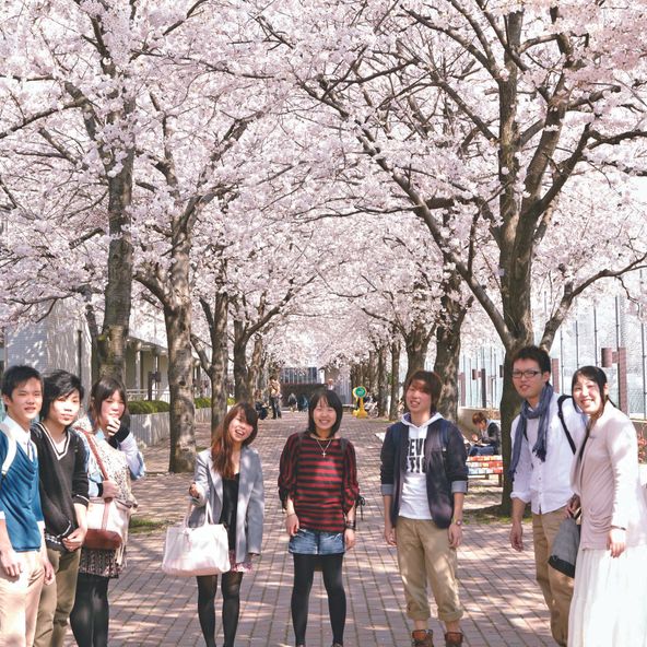 千葉商科大学 資料請求 願書請求 学校案内 スタディサプリ 進路