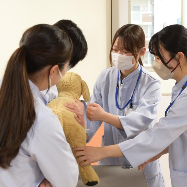 大阪ペピイ動物看護専門学校 【高1・2年向け】レントゲンってどう撮るの？2