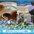 ＴＣＡ東京ＥＣＯ動物海洋専門学校 クラゲの暮らしをのぞいてみよう！