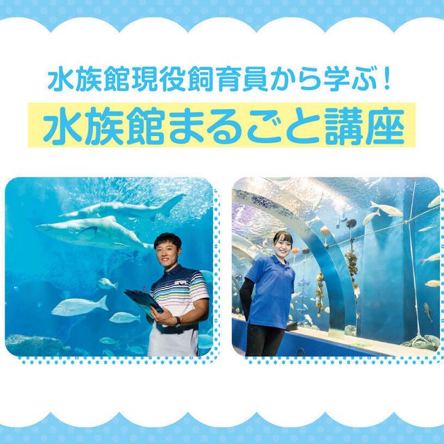 水族館まるごとお仕事講座！／仙台ECO動物海洋専門学校のオープンキャンパス情報と予約申込【スタディサプリ 進路】