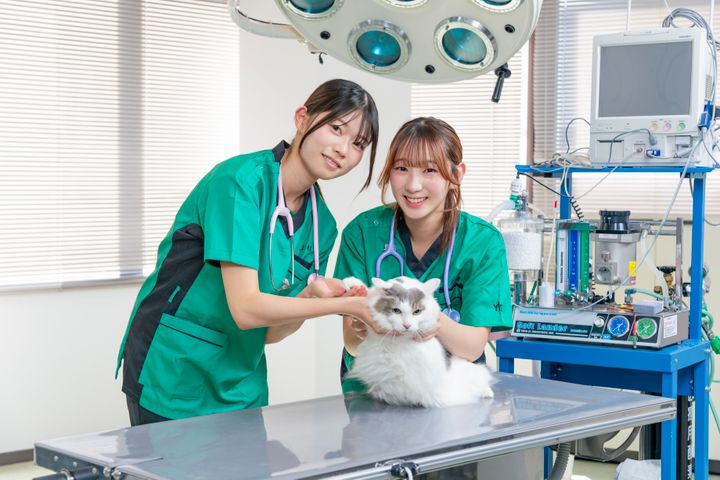 サブ画像
