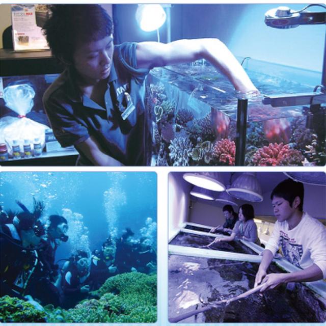 名古屋ECO動物海洋専門学校 【水族館アクアリスト】海洋系希望者必見!1