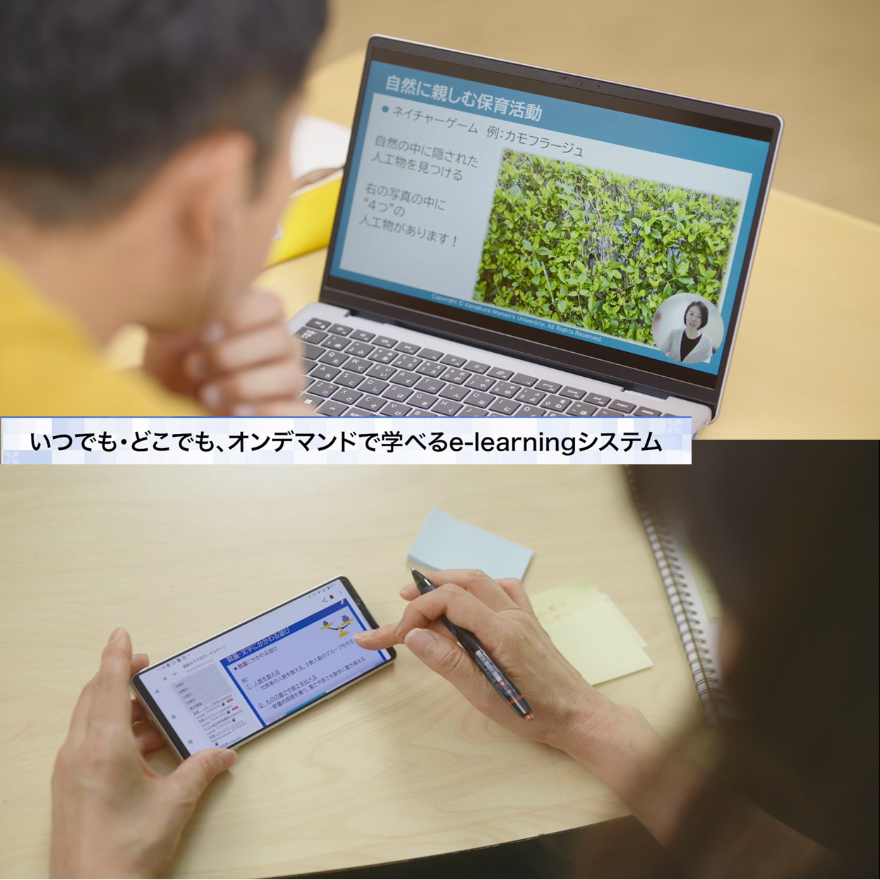 鎌倉女子大学短期大学部（通信教育課程） | 資料請求・願書請求・学校