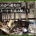 ＴＣＡ東京ＥＣＯ動物海洋専門学校 化石から進化のストーリーを読み解こう