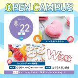 ハートのマカロン＆シュガーデコール体験：飴細工＆シュガー体験の詳細