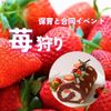 大阪調理製菓専門学校 3/25【製菓】水玉ロールケーキ★保育と合同苺狩り