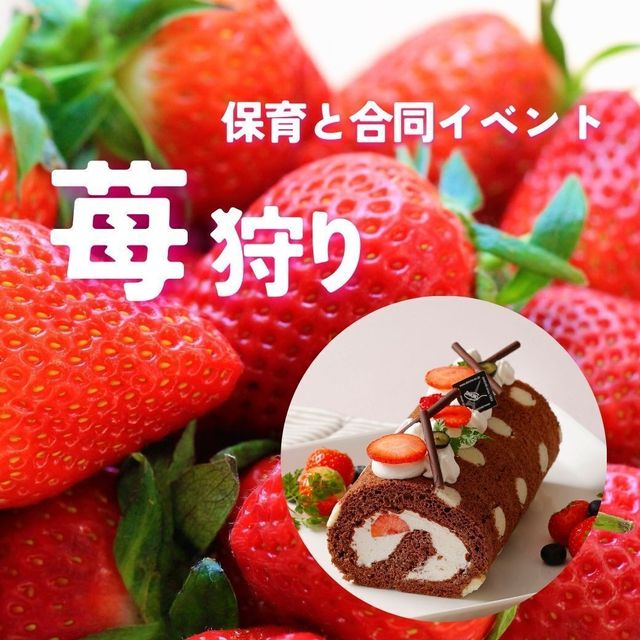 大阪調理製菓専門学校 3/25【製菓】水玉ロールケーキ★保育と合同苺狩り1