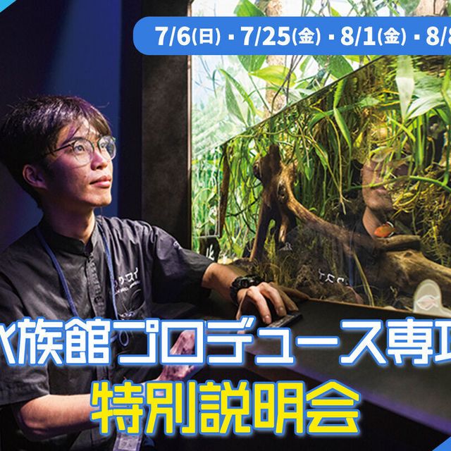 ＴＣＡ東京ＥＣＯ動物海洋専門学校 水族館プロデュース専攻 特別説明会1