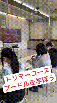 OCカメラサムネイル画像