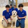ヤマザキ動物看護専門職短期大学 春のオープンキャンパス