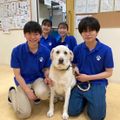 春のオープンキャンパス／ヤマザキ動物看護専門職短期大学
