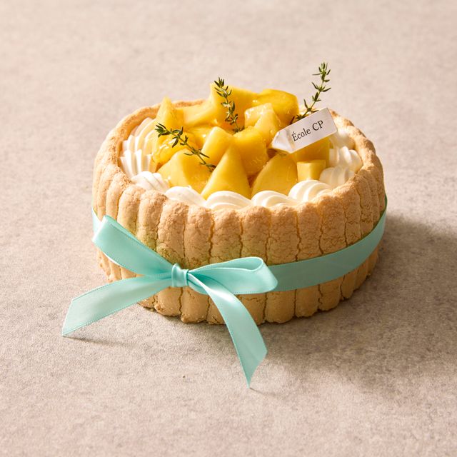 神戸国際調理製菓専門学校 【製菓】マンゴーシャルロット1