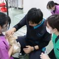 ＹＩＣ京都ペット総合専門学校 動物看護師のお仕事～血液検査をやってみよう！～