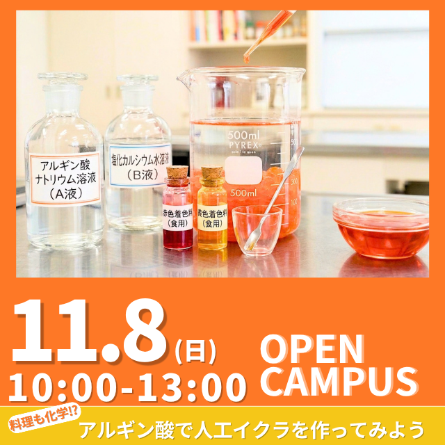 新渡戸文化短期大学 《初めて参加大歓迎！》料理も化学！人工イクラを作ってみよう！1