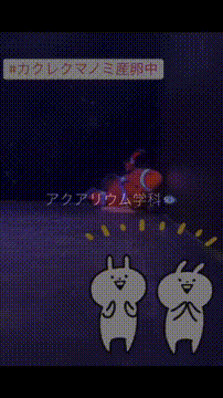 OCカメラサムネイル画像