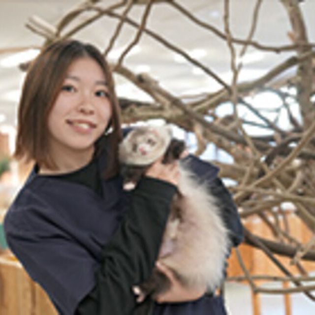 専門学校ビジョナリーアーツ Vaふれあい動物園1