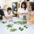 日本自然環境専門学校 樹木から天然アロマを抽出3