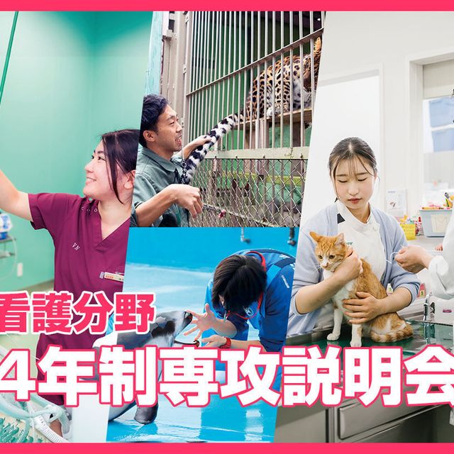 ＴＣＡ東京ＥＣＯ動物海洋専門学校 看護分野 4年制専攻説明会1
