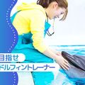 大阪ＥＣＯ動物海洋専門学校 ドルフィントレーナー体験