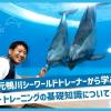 ＴＣＡ東京ＥＣＯ動物海洋専門学校 元鴨川シーワールドトレーナーから学ぶ★トレーニングの基礎知識