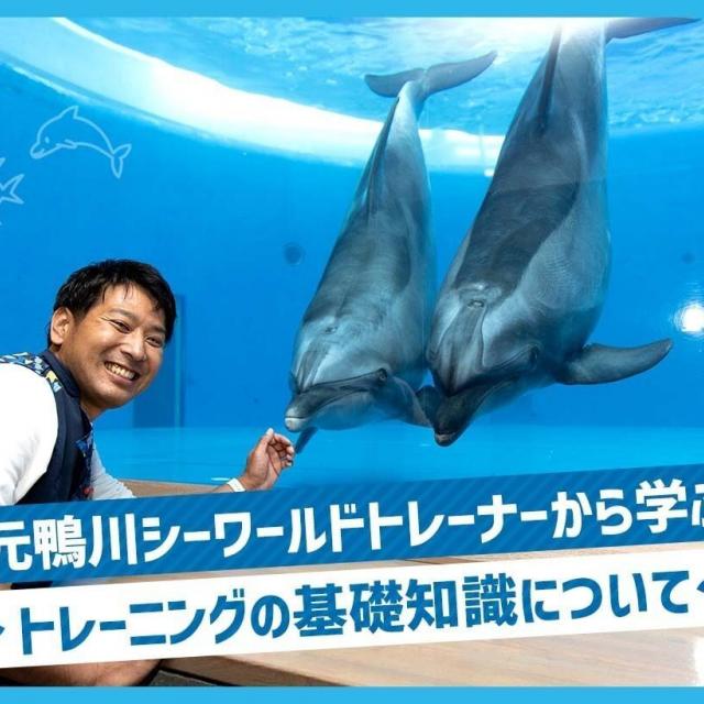 ＴＣＡ東京ＥＣＯ動物海洋専門学校 元鴨川シーワールドトレーナーから学ぶ★トレーニングの基礎知識1