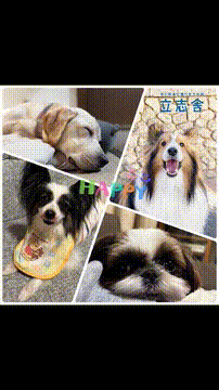 OCカメラサムネイル画像