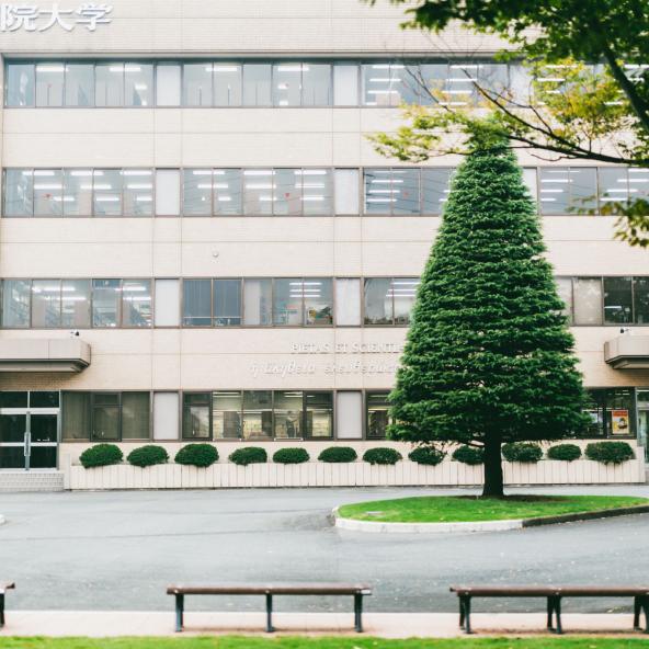 聖学院大学 資料請求 願書請求 学校案内 スタディサプリ 進路