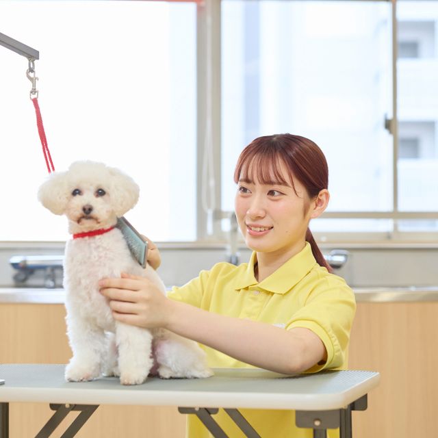 国際動物専門学校 学校説明会（全ての学科を体験できる）2