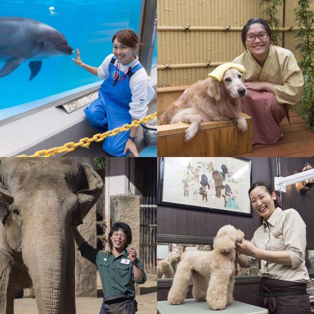 「好き」を「シゴト」に! GWオープンキャンパス&体験入学