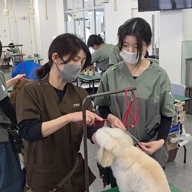 国際ペット専門学校　金沢 1日で食・動物・美容の3分野がすべて体験！ドリームフェス！4