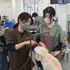 国際ペット専門学校　金沢 1日で食・動物・美容の3分野がすべて体験！ドリームフェス！4