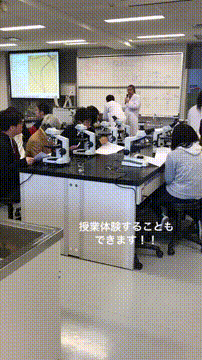 長崎国際大学 薬学科 スタディサプリ 進路