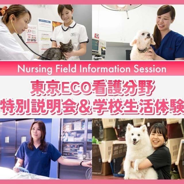 ＴＣＡ東京ＥＣＯ動物海洋専門学校 東京ECO看護分野特別説明会＆学校生活体験1