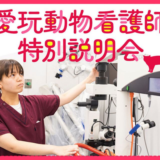 ＴＣＡ東京ＥＣＯ動物海洋専門学校 看護分野 W体験DAY1