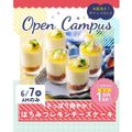 辻学園栄養専門学校 さっぱりはちみつレモンチーズケーキ　交通費補助あり