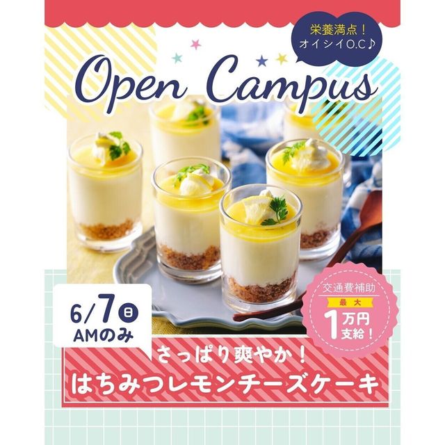 辻学園栄養専門学校 さっぱりはちみつレモンチーズケーキ　交通費補助あり1
