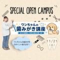 東京医学技術専門学校 【歯科衛生士/2時間】どんなお仕事？（保護者様大歓迎）