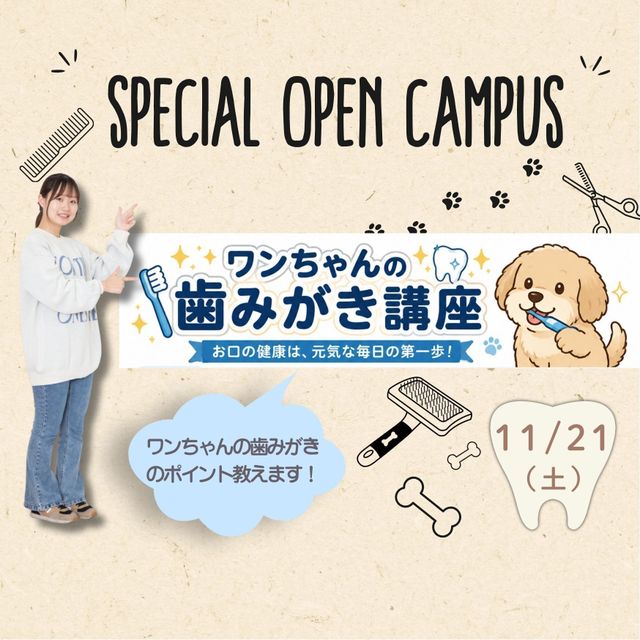 東京医学技術専門学校 【歯科衛生士/2時間】どんなお仕事？（保護者様大歓迎）1