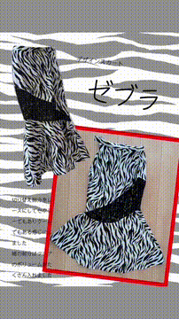 OCカメラサムネイル画像