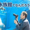 ＴＣＡ東京ＥＣＯ動物海洋専門学校 水族館てなんだろう？