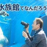水族館てなんだろう？の詳細