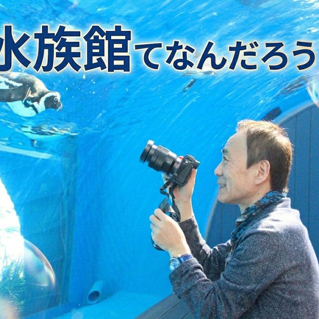 ＴＣＡ東京ＥＣＯ動物海洋専門学校 水族館てなんだろう？1