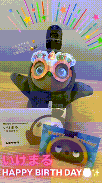 OCカメラサムネイル画像