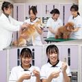 国際ペット総合専門学校 ペット総合「ゴニオメーターを使ってみよう！」理学介護福祉体験